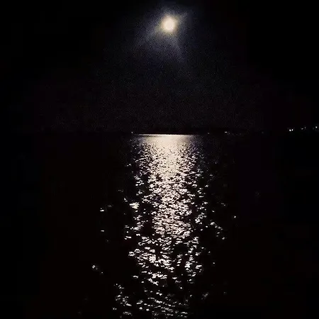 Silvanus מלון 3*