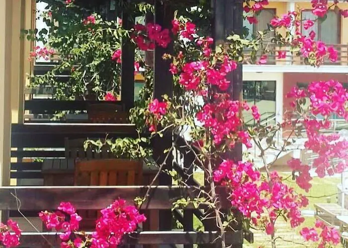 Silvanus Oren (Milas)