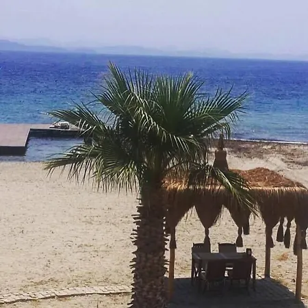 Silvanus Hotel