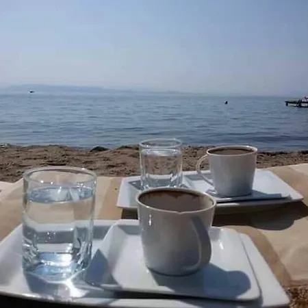 Silvanus Hotell Oren (Milas)